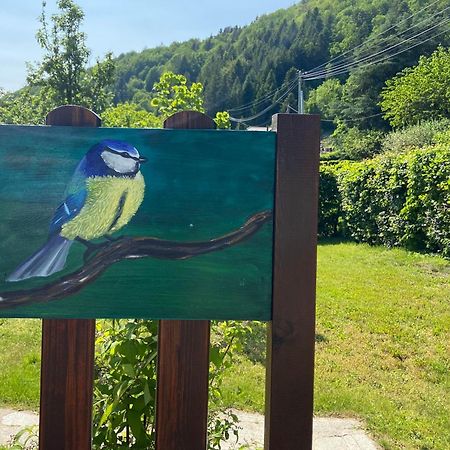Gîte de la Mésange Rochesson Esterno foto