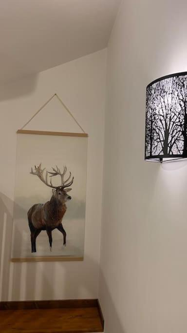 Gîte de la Mésange Rochesson Esterno foto