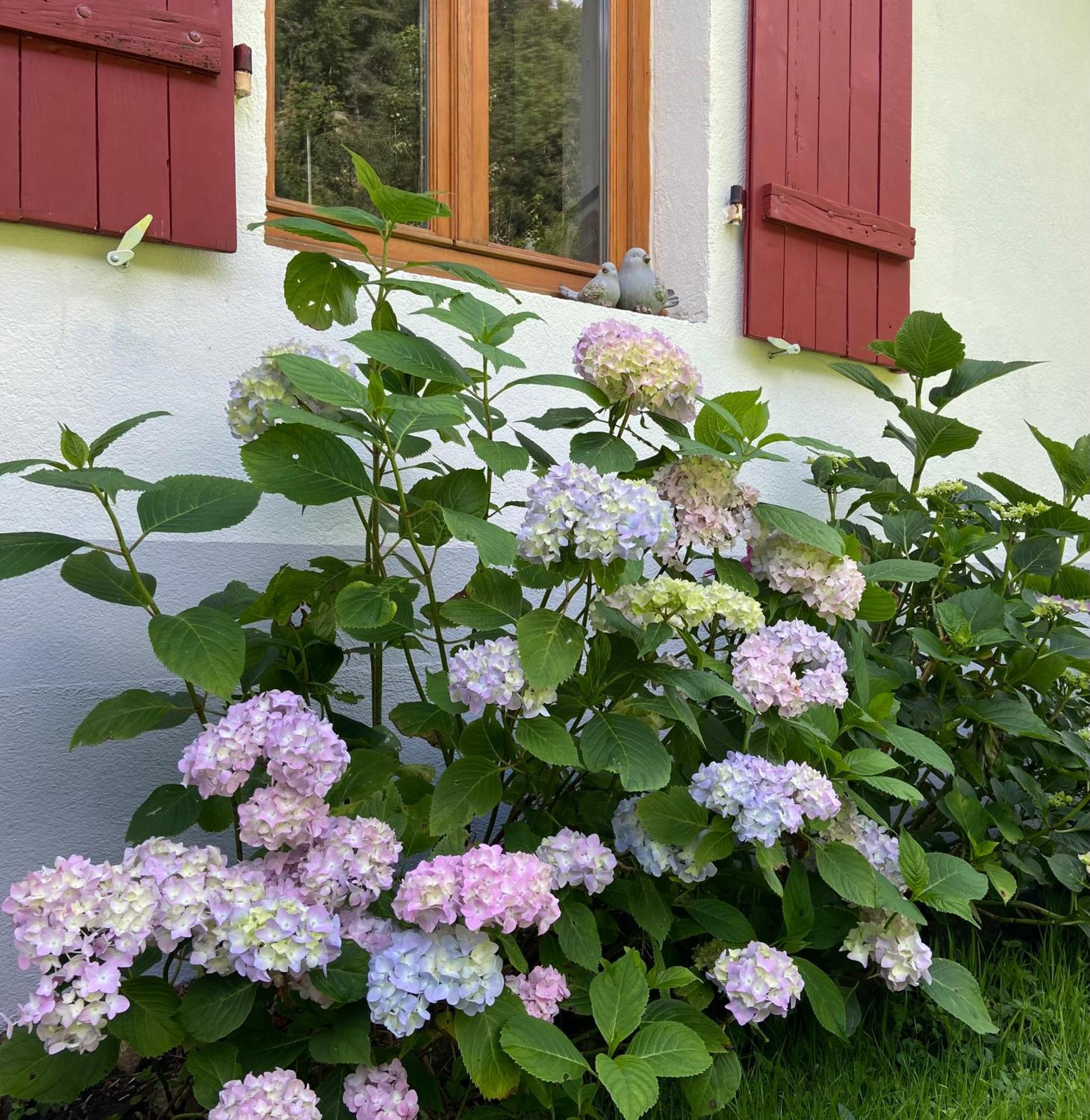 Gîte de la Mésange Rochesson Esterno foto